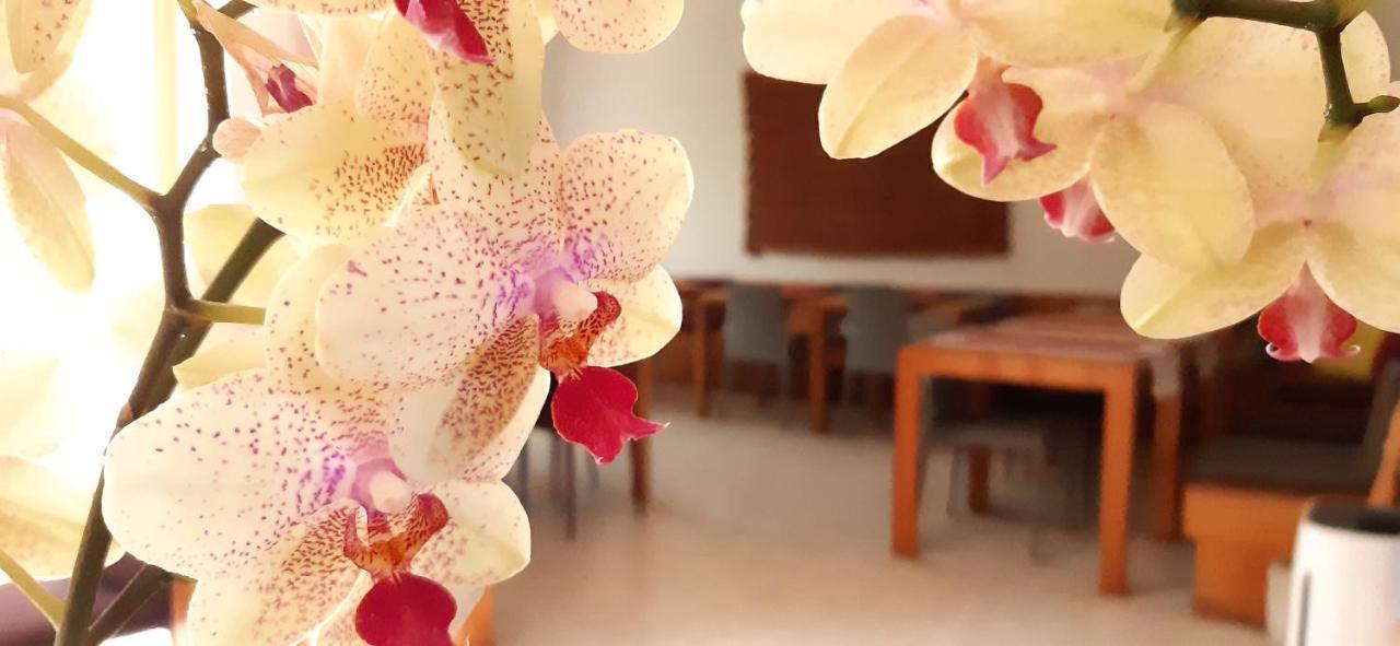 Hotel Gracanica Dış mekan fotoğraf
