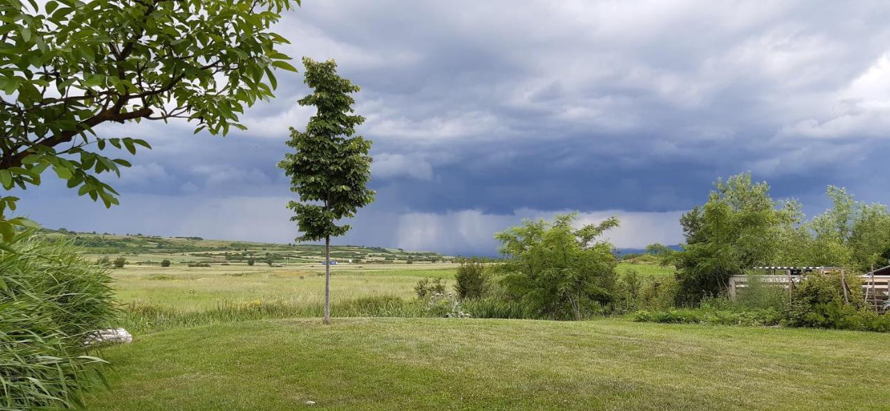 Hotel Gracanica Dış mekan fotoğraf
